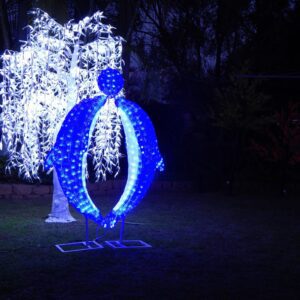 Dolphin Hire Glow Led Gold Coast Brisbane | Osmic Productions