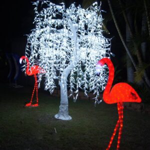 Flamingo and Tree | Osmic Productions