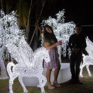 LED Illuminated Trees & Sculptures