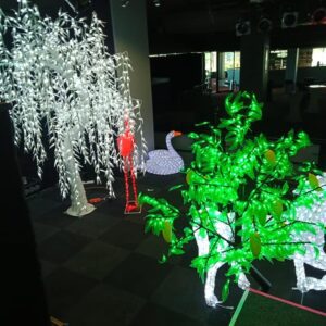 Mango Tree Hire | Osmic Productions