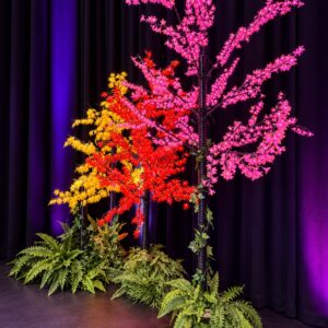 Pink LED cherry blossom tree with red and yellow maple trees in an Osmic event setup