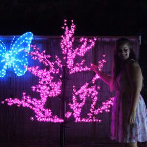 Pink Tree | Osmic Productions