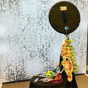 Shimmer Disco Backdrop | Osmic Productions