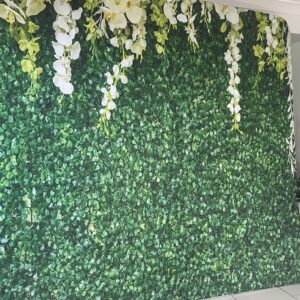 Green Wall Backdrop | Osmic Productions