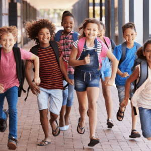 School Incursions