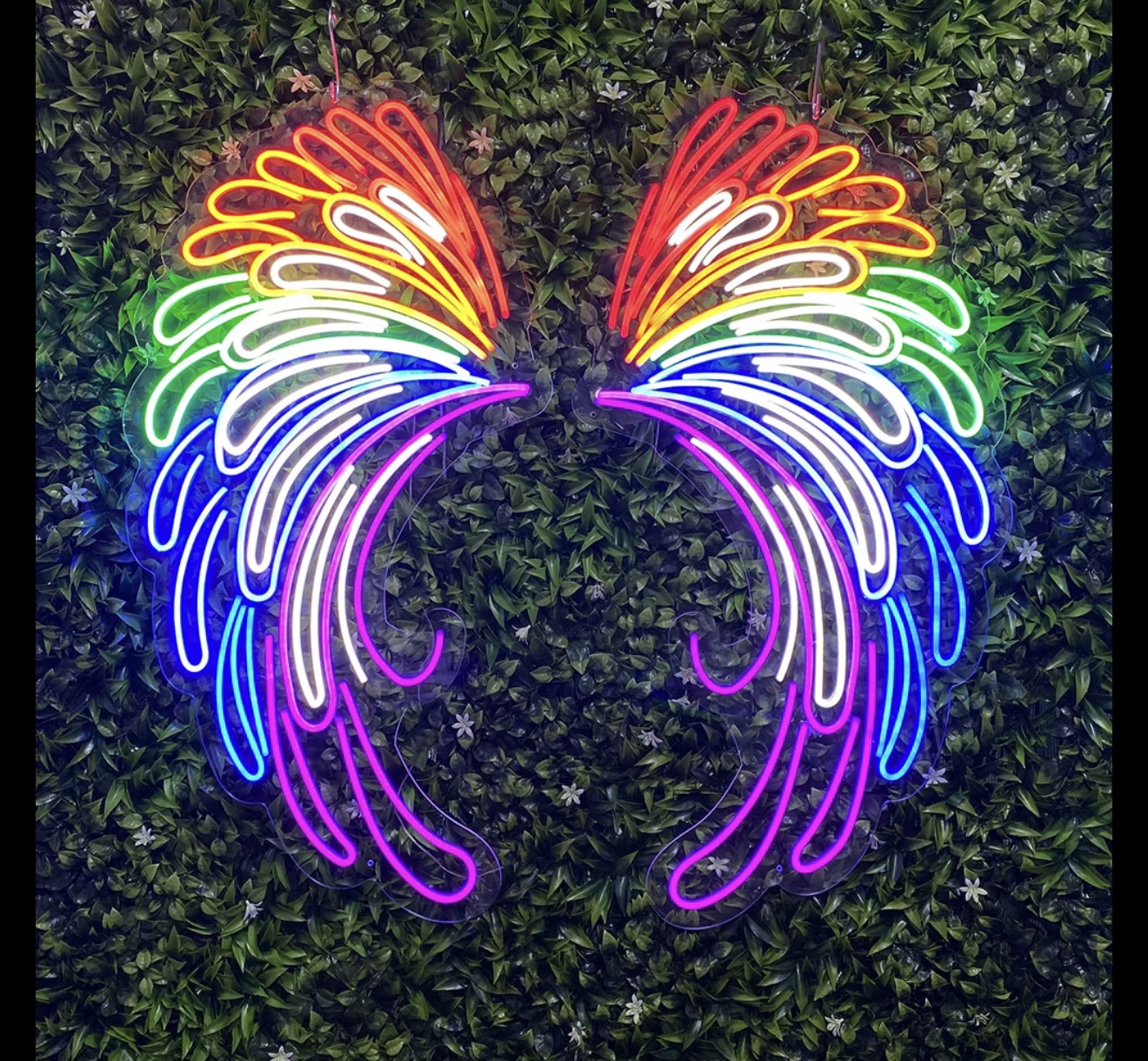 Rainbow Neon Wings Hire | Osmic Productions Rainbow Neon Wings Displayed Against a Green Foliage Wall.